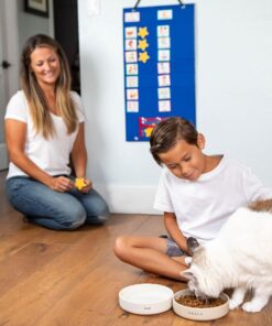 Large Kids Visual Schedule for Classroom & Home School - Morning Bedtime Routine Daily Calendar for Kids with 72 Activity & 10 Blank Cards - Wall Communication Chore Chart Responsibility Planner 12 915j7yhsXsL