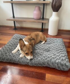 MidWest Homes for Pets Deluxe Dog Beds | Super Plush Dog & Cat Beds Ideal for Dog Crates | Machine Wash & Dryer Friendly, 1-Year Warranty,Gray Gray 22-Inch 34 915jAAX0ofL 3
