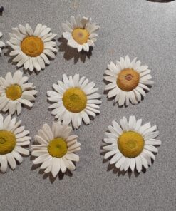 Loctite Super Glue Ultra Gel Control, Clear Superglue for Plastic, Wood, Metal, Crafts, & Repair, Cyanoacrylate Adhesive Instant Glue, Quick Dry - 0.14 fl oz Bottle, Pack of 1 47 915p6AWlMNL