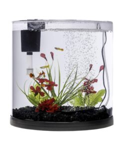 Tetra ColorFusion Starter aquarium Kit 3 Gallons, Half-Moon Shape, With Bubbler And Color-Changing Light Disc 40 915vxlbI8LL