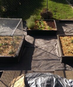 Lifetime 60069 Raised Garden Bed Kit, 4 by 4 Feet, Pack of 3 44 9160lzcmcfL