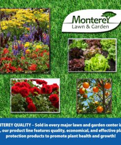 Monterey LG6332 Bacillus Thuringiensis (B.t.) Worm & Caterpillar Killer Insecticide/Pesticide Treatment Concentrate, 16 oz 1 pint (16 oz.) 27 916A6BjdkCL