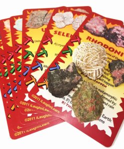 ROCK ON! Geology Game with Rock & Mineral Collection – Collect and Learn with STEM-based Educational Science Kit in Carrying Tote - Amethyst, Rhodonite, Selenite Crystal, Unakite and lots more 23 916C0HVFTcL