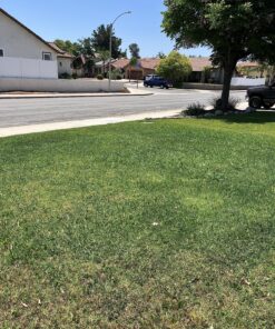 Scotts Turf Builder Weed & Feed3, Weed Killer Plus Lawn Fertilizer, Controls Dandelion and Clover, 5,000 sq. ft., 14.29 lbs. 5,000 sq. ft. Weed and Feed 49 916C8aanWRL