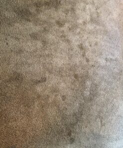 BISSELL Professional Power Shot Oxy Carpet Spot and Stain Remover, 14 ounces, 95C9 48 916CZEfwXL