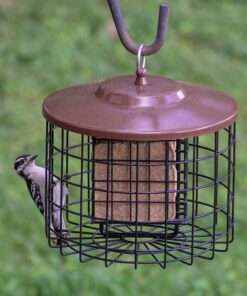 More Birds Squirrel-X Double Suet Feeder, Outdoor Wild Bird Feeder, Cage Bird Feeder, 2 Suet Cake Capacity 16 916IT9ZgOSL