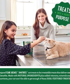 FELINE GREENIES SMARTBITES Skin & Fur Crunchy and Soft Natural Cat Treats, Salmon Flavor, 2.1 oz. Pack 2.1 Ounce (Pack of 1) 29 916Q7DhFrHL