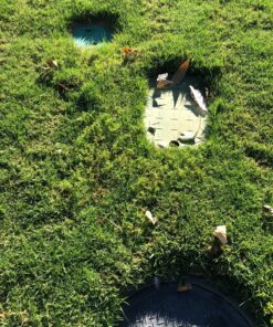 Scotts Turf Builder WinterGuard Fall Weed & Feed3, Weed Killer Plus Fall Fertilizer, 5,000 sq. ft., 14.29 lbs. 5,000 sq. ft. 28 916gGAMeAFL