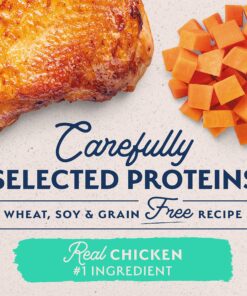 Natural Balance Limited Ingredient Adult Grain-Free Wet Canned Dog Food, Chicken & Sweet Potato Recipe, 13 Ounce (Pack of 12) 23 917 YYEXiML