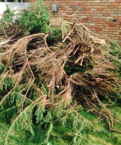 PORTER-CABLE 20V MAX* Reciprocating Saw, Tool Only (PCC670B) 26 9172yOP0E8L