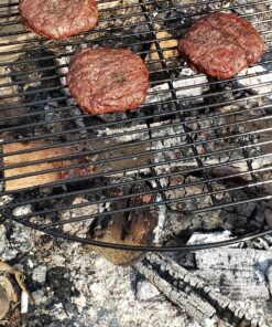 Wimpy's Swing-away Campfire Grill 37 917BXm2Rd0L