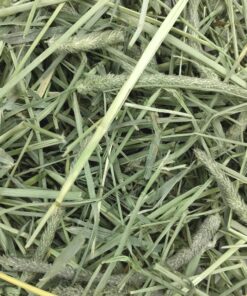 Oxbow Animal Health Western Timothy Hay- Veterinarian Recommended- Hay for Rabbits, Chinchillas, Guinea Pigs & Other Small Pets- Grown in the USA- Premium Quality Natural Hay- Fiber Rich- 40 Oz 2.5 Pound (Pack of 1) 33 917VujlyPUL