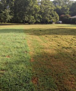 MaxPower 561739B 2-Blade Set for 46" Cut Craftsman, Husqvarna, Poulan Replaces 405380, 532-405380, PP21011,Black 37 917d9mK8jL