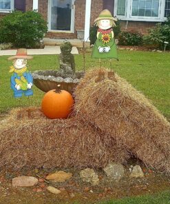 Fox Valley Traders Scarecrow Boy Yard Stake by Maple Lane Creations 5 917lpbe77hL