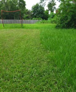 Greenworks 16-Inch Reel Lawn Mower with Grass Catcher 25052,Black/Green, 47"D x 22"W x 29.75"H 16" Reel Mower 62 917wGvOsIkL