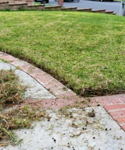 Worx Edger Lawn Tool, Electric Lawn Edger 12 Amp 7.5", Grass Edger & Trencher WG896 12-Amp 7.5" Electric Lawn Edger & Trencher 59 917z9sZwDVL