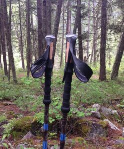 Cascade Mountain Tech Trekking Poles - Carbon Fiber Walking or Hiking Sticks with Quick Adjustable Locks Green 51 91876UAamxL