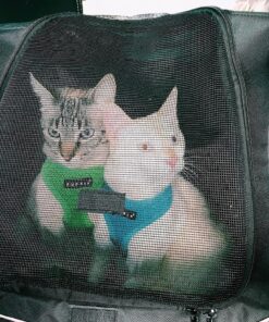 Pet Gear I-GO2 Roller Backpack, Travel Carrier, Car Seat for Cats/Dogs, Mesh Ventilation, Included Tether, Telescoping Handle, Storage Pouch 22.0"L x 13.5"W x 16.0"H 55 918CtWFBWgL