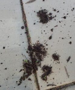 Gutter Sense Gutter Cleaning Tool 30 918ylXhrzKL