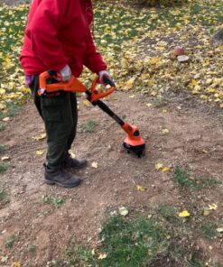 BLACK+DECKER 20V MAX* Tiller (LGC120) 20V Cultivator/Tiller Kit 39 919 0veUzDL