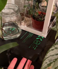 BN-LINK Durable Seedling Heat Mat Heating Pad 10" x 20.75" with Digital Thermostat Controller Combo Set Waterproof for Indoor Seed Starting and Plant Germination 10" x 20.75" & Thermostat 38 9192Gl6w7qL 1