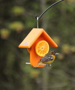 Alternative view of Kettle Moraine Recycled Single Oriole Orange Fruit Feeder