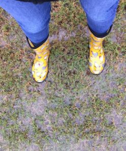 Sloggers Waterproof Garden Rain Boots for Women - Cute Mid-Calf Mud & Muck Boots with Premium Comfort Support Insole 6 Chickens Daffodil Yellow 22 919DLspLUhL