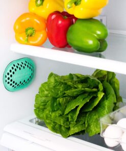 remodeez Refrigerator Deodorizer Eliminator, Nontoxic Coconut, Activated Charcoal, Natural Air Fresheners, Moisture & Odor Absorber for Fridge (Green) 20 919GYuAjD L