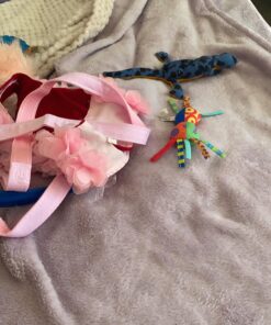 Petstages Mini Dental Chew Starter Pack for Puppies - 3 Pack Mini Chew 3 Pk 40 919Sf8TFQcL