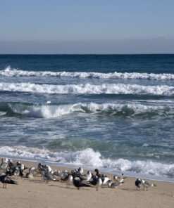 Pentax D FA 28-105mm F3.5-5.6ED DC WR HD Lens (Black) DFA 28-105mm F3.5-5.6 33 919U1RuhrL