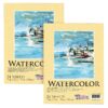 U.S. Art Supply 9" x 12" Premium Heavyweight Watercolor Painting Paper Pad, Pack of 2, 24 Sheets Each, 90 Pound (190gsm) - Cold Pressed, Acid-Free, Wet, Dry & Mixed Media - Artists, Students, Adults 9 919VH1G6hGL