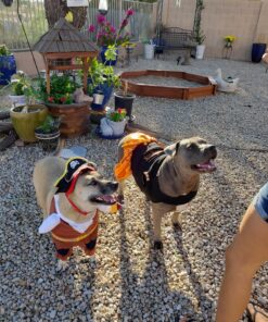 NACOCO Pet Dog Costume Pirates of The Caribbean Style (Large) L Brown 33 919Wt 9JCyL