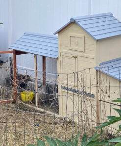 Best Choice Products 80in Outdoor Wooden Chicken Coop Multi-Level Hen House, Poultry Cage w/Ramps, Run, Nesting Box, Wire Fence, 3 Access Areas 52 919Z89NxQHL