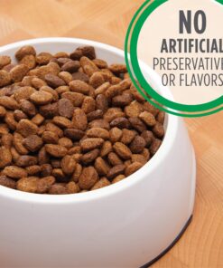 IAMS Adult Minichunks Small Kibble High Protein Dry Dog Food with Real Chicken, 30 lb. Bag,(Packaging may vary) 0 30 Pound (Pack of 1) 34 919cyrqFbbL