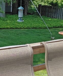 Squirrel Buster Standard Squirrel-proof Bird Feeder w/4 Metal Perches, 1.3-pound Seed Capacity, garden green 30 919f2iHWlXL