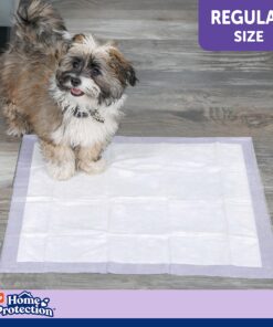 Hartz Home Protection Lavender Scented Dog Pads, 50 count, Super Absorbent & Won't Leak, Odor Eliminating 21 x 21 (50 count) 25 919tCMPkkoL 2