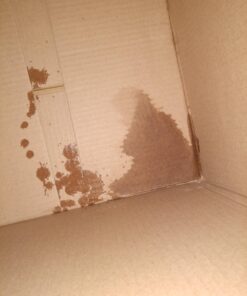 Swiffer Sweeper Wet Mopping Cloth Multi Surface Refills, Febreze Lavender Scent, 36 count 36 Count (Pack of 1) Wet Mop 38 919x76Ywm4L