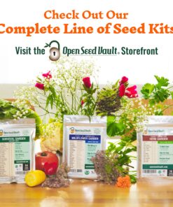 (12) Variety Pack Herb Garden Seeds | Basil, Cilantro, Parsley & More | ~4,000 Non GMO Heirloom Seeds | Survival Food for Survival Kits Gardening Gifts & Emergency Supplies by Open Seed Vault Herb Kit 12 pack 26 91A4IUeIufL 3