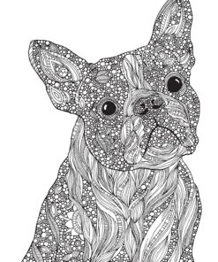 Ultimate Coloring Book Treasury: Relax, Recharge, and Refresh Yourself (Design Originals) 208 Pages of Beautiful One-Side-Only Designs on Extra-Thick, Perforated Paper in a Spiral Lay-Flat Binding 50 91A5EIbkyNL