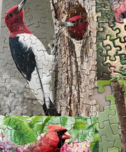 Springbok Birds of a Feather 500 piece Jigsaw Puzzle for Adults features a photo collage of colorful American birds 13 91ACGWG8qL