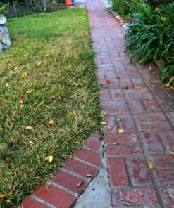 Worx Edger Lawn Tool, Electric Lawn Edger 12 Amp 7.5", Grass Edger & Trencher WG896 12-Amp 7.5" Electric Lawn Edger & Trencher 60 91ACKNrhDjL