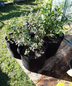 Ming Wei Garden Plant Bags / 6-Packs 5 Gallon Grow Bags/Aeration Fabric Pots/Handles (Black) Black 34 91ACPLFK7ZL