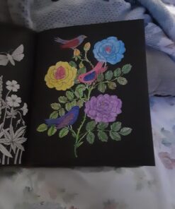 Nightfall Coloring Book: Originally Published in Sweden as "Skymningstimman" 58 91AGyVBLPAL