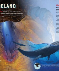 The Atlas Obscura Explorer’s Guide for the World’s Most Adventurous Kid 21 91AMMcHdifL