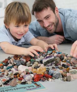 DANCING BEAR Rock, Mineral & Geodes Treasure Hunt Activity Kit (200 Pc Set) Real Shark Teeth Fossils, ID Sheet & Rock Book, STEM Rock, Mineral & Geodes Collection 43 91AQ3I USwS
