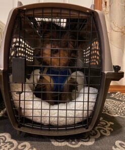 Petmate Two-Door Small Dog Kennel & Cat Kennel (Top Loading or Front Loading Pet Carrier, Made with Recycled Materials, 24 inches in Length) For Pets up to 15 Pounds, Made in USA 24.0"L x 14.5"W x 17.0"H TAN 45 91AfK1PPheL 1