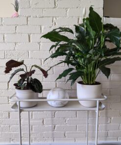 HATHASPACE Marble Essential Oil Aroma Diffuser, 350ml Aromatherapy Fragrance Diffuser & Ultrasonic Cool Mist Room Humidifier, 24+ Hour Capacity, 7-Color Mood Light, Intermittent Mode, BPA-Free (White) White 41 91AiiXirNL