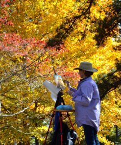 55" Tripod Q111 Travel Camera Tripod with 3-Way Pan Head and Phone Holder Mount for Gopro,Projector,Smartphones Webcam,Spotting Scopesto Live Broadcast and DSLR EOS Canon Nikon Sony Samsung(Red) 55" Red 27 91AjP2dakL