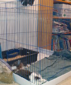 Kaytee Pet-N-Playpen with Mat for Pet Rabbits, Guinea Pigs, Ferrets or Other Small Animals 29 91Arx94QDXL