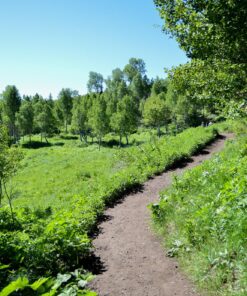 Nikon D3200 24.2 MP CMOS Digital SLR with 18-55mm f/3.5-5.6 Auto Focus-S DX VR NIKKOR Zoom Lens (Black) (OLD MODEL) Black w/ 18-55mm Base 71 91ArzoLCPPL